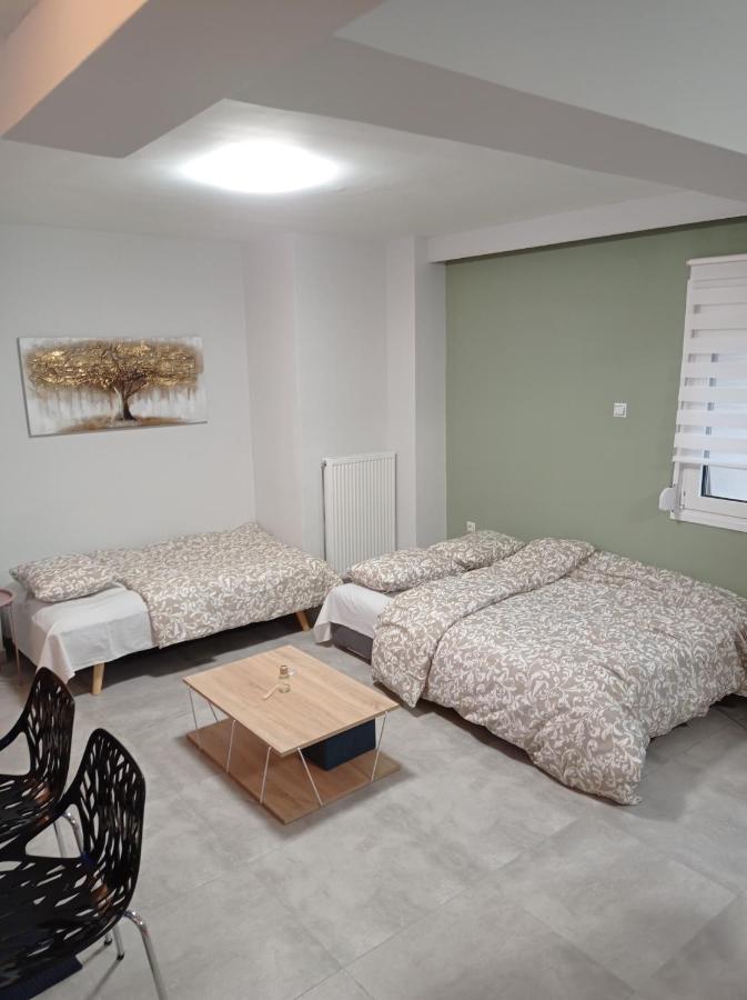 Central Home Trikala  Exterior photo